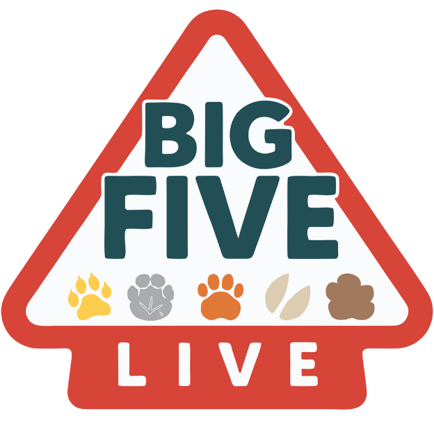 The Big Five Live Logo